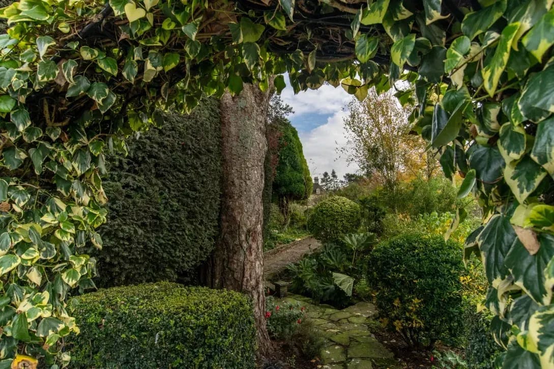 How Regular Garden Maintenance Helps Your Outdoor Space Thrive