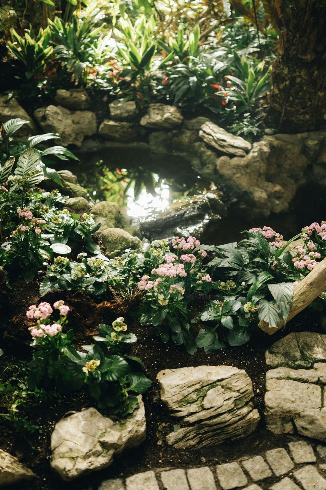 Maple Grove Garden Services 12