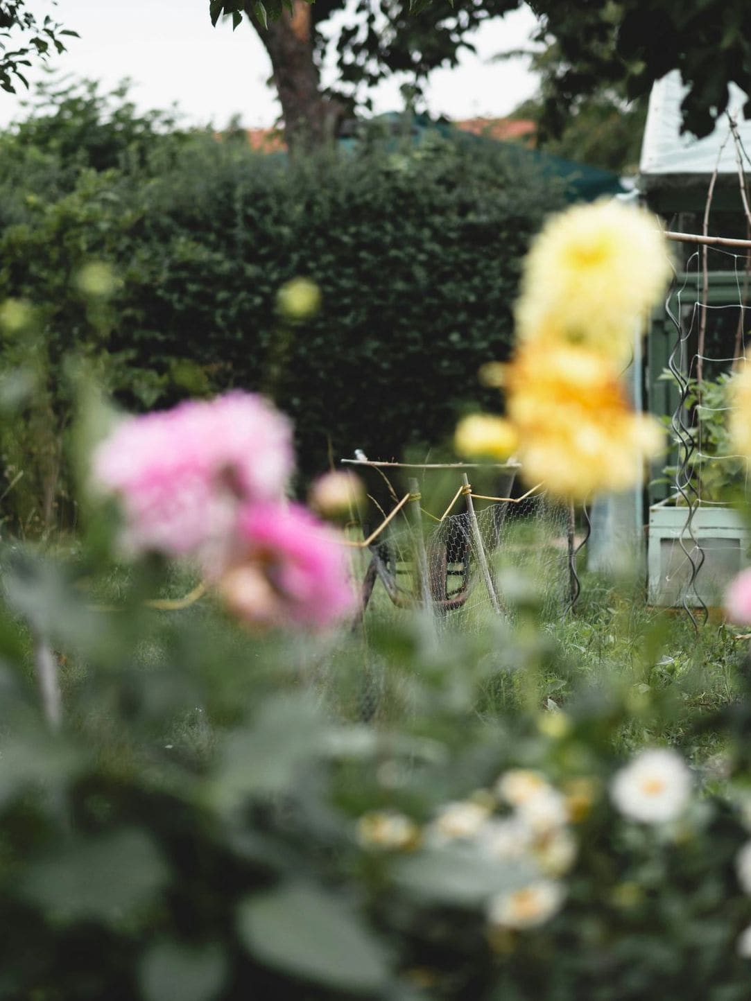 Maple Grove Garden Services 14