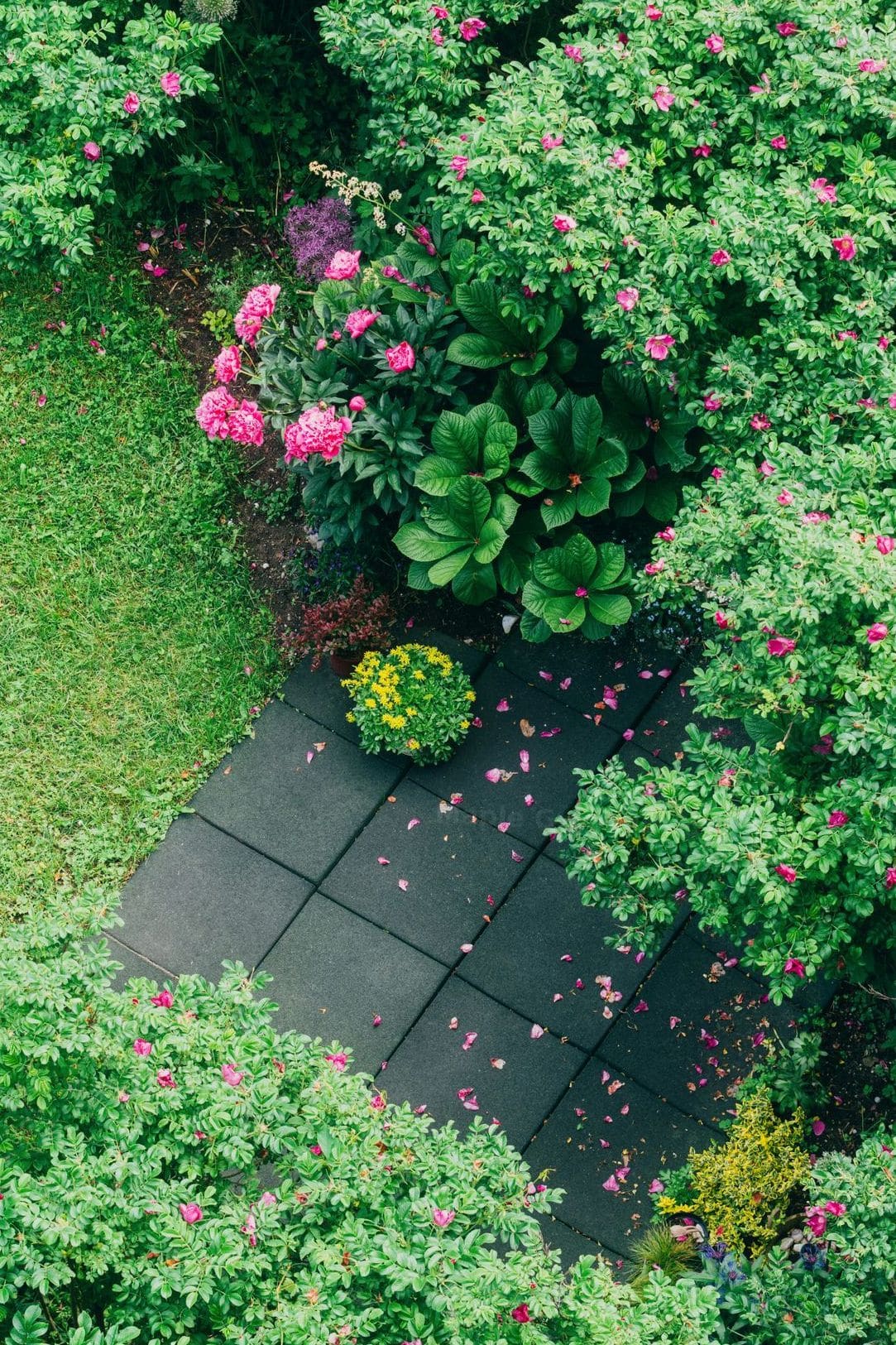 Maple Grove Garden Services 8