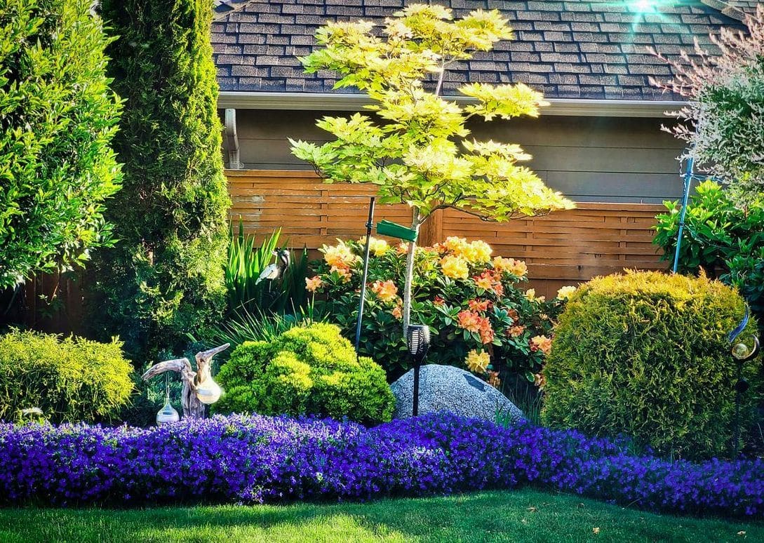 Garden design and planting