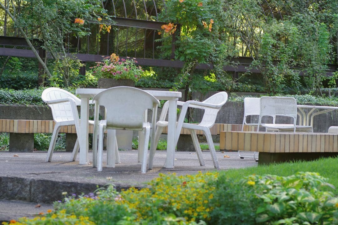 Seasonal cleanups and leaf removal