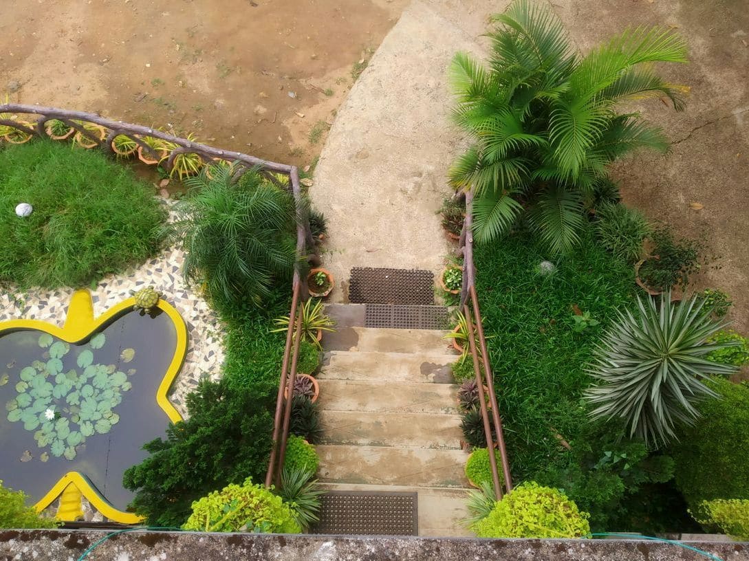 Irrigation system checks and watering plans